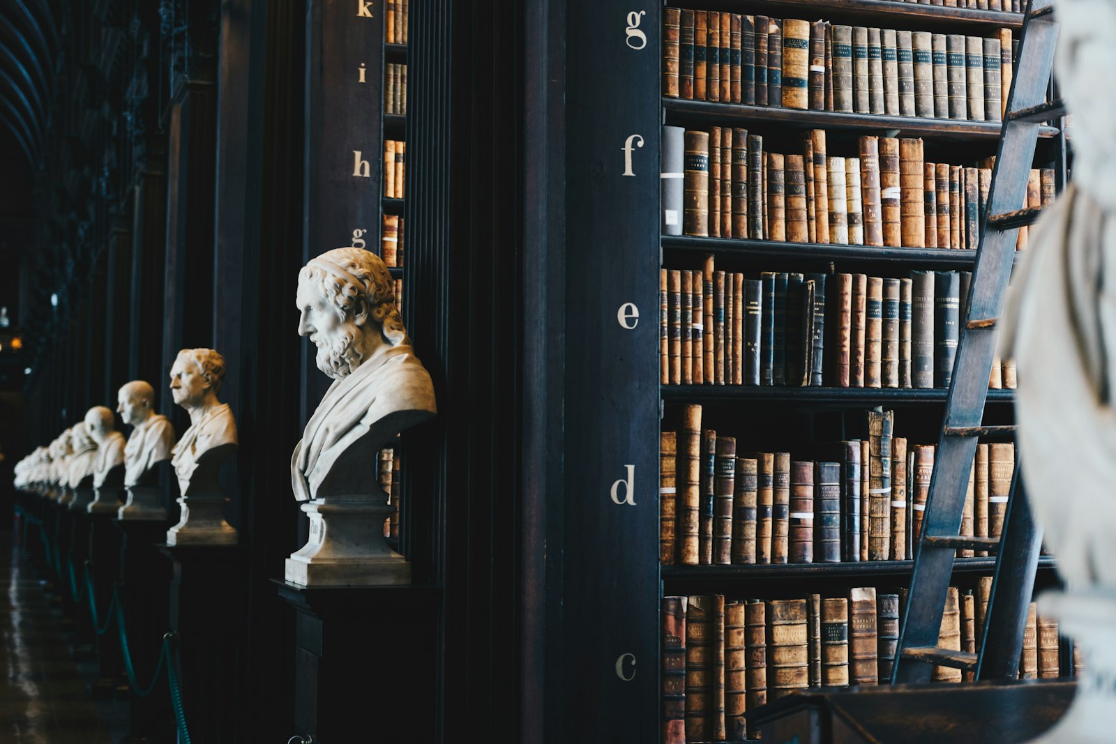 Law library, trial attorney resources